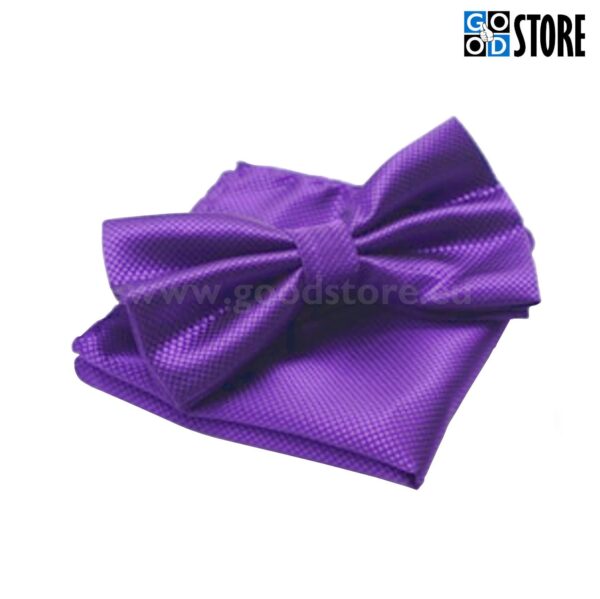 Luksusliku kikilipsu komplekt rinnarätikuga, violetne