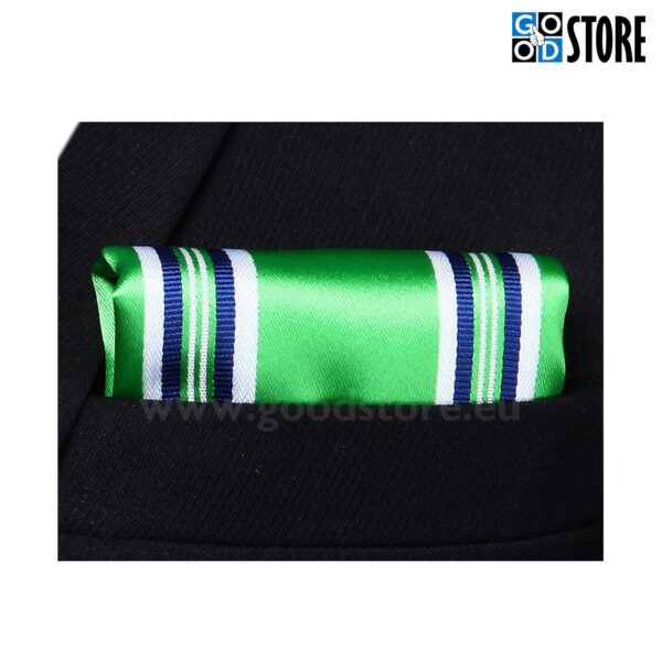 Moodne seotava lipsu komplekt, roheline triibuline
