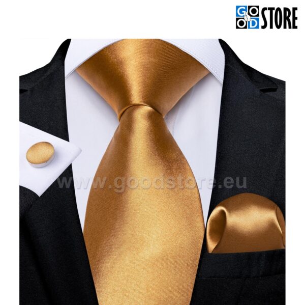 Luksuslik lipsu komlekt, N7865-kuldpruun-GoodStore